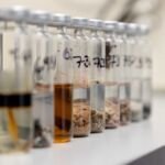 Analisi del digestato: la base per una corretta gestione dell’azoto